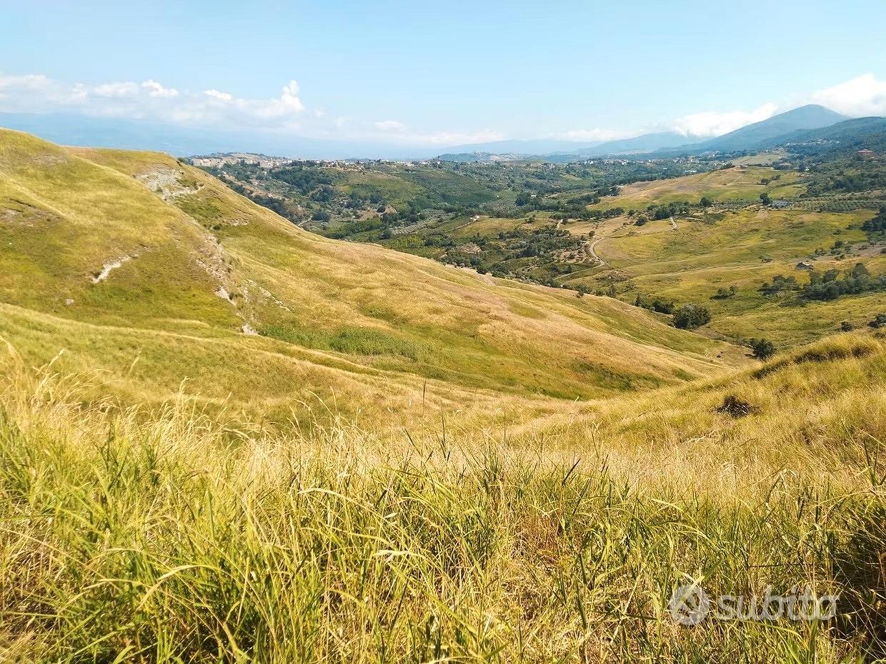 Terreno agricolo 20 ettari - Vista 4