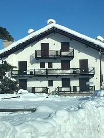 Stupendo bilocale con giardino centrale