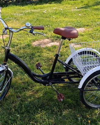 Triciclo per adulti