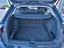 Immagine 7