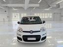 fiat-panda-auto-su-ordinazione