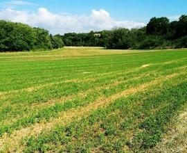 Terreno agricolo in Provincia di Torino