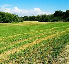 Terreno agricolo in Provincia di Torino