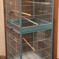 voliera 51.5x50x140 cm con ruote