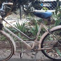 Bicicletta Omega da donna