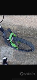 Bici 20