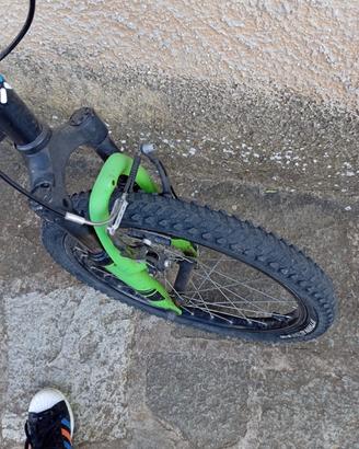 Bici 20