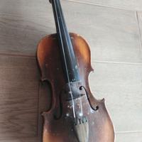 Violino
