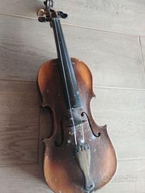 Violino