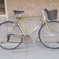 uomo 26 con marce e cestino pronta all'uso 