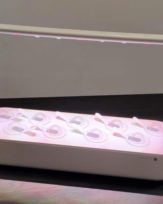 Serra Idroponica Click & Grow - The Smart Garden 9