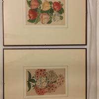 Stampe antiche, fiori anno 1885