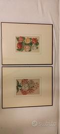 Stampe antiche, fiori anno 1885