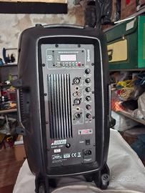 cassa ridem 12bt 350w