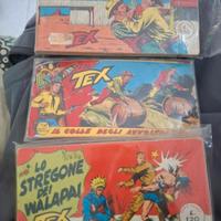 tex strisce