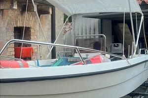Barca 4,50 con motore 25 cavalli senza carrello
