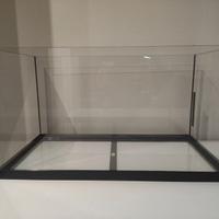 Acquario 60 litri