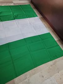 Bandiera bianco verde della Nigeria