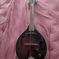 mandolino elettrico stagg