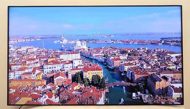 Monitor LCD 46 pollici - Samsung