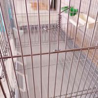 Gabbia accoppiamento