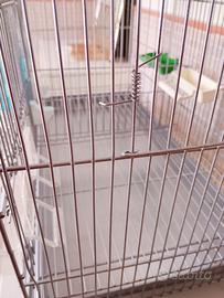 Gabbia accoppiamento