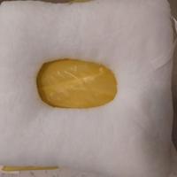 Cuscino sanitario