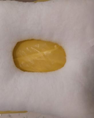 Cuscino sanitario