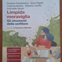 Limpida Meraviglia Gli Strumenti della scrittura