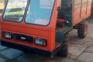 Goldoni Transporter 336