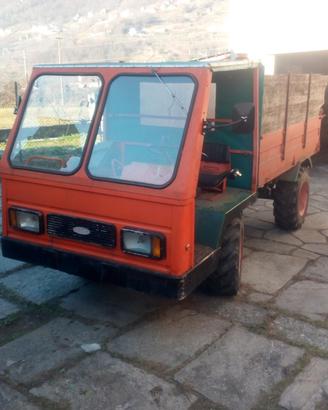 Goldoni Transporter 336