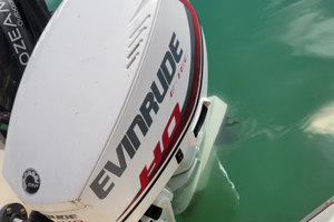 Motore fuoribordo e-tec 40/70 versione Ho