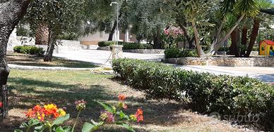 Vieste casavacanza disponibile dal 23 agosto in po