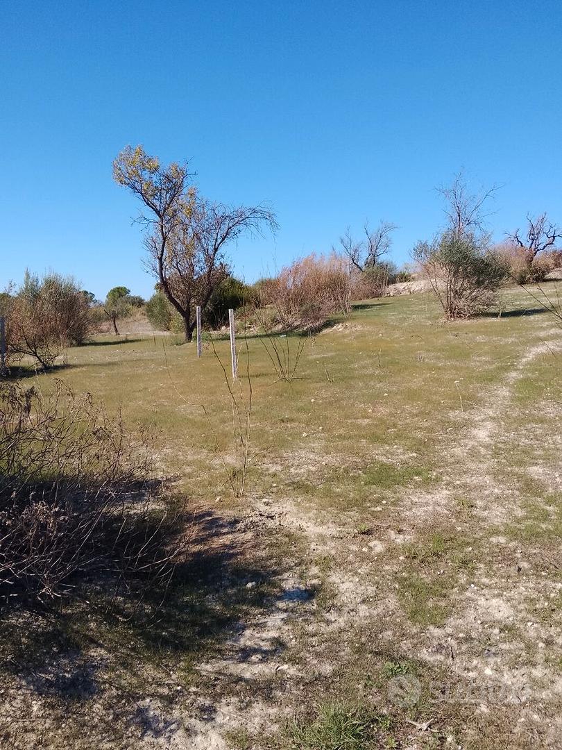 Terreno agricolo - Vista 5