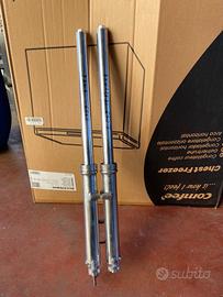 Canne carter serbatoio codino Kawasaki Z 650