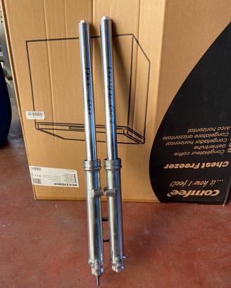 Canne carter serbatoio codino Kawasaki Z 650