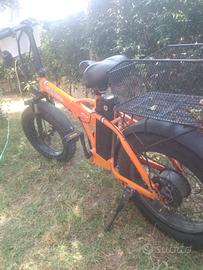 Bici Elettrica 