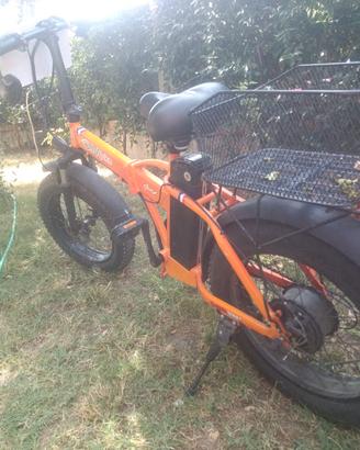 Bici Elettrica 