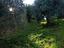 Immagine 6