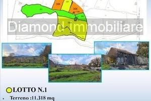 Terreno 22.260 mq con rustici a sant'alfio
