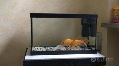 Acquario 30 lt completo di pompa ghiaia e accessor
