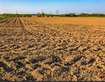 terreno agricolo