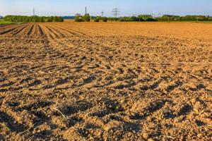 terreno agricolo