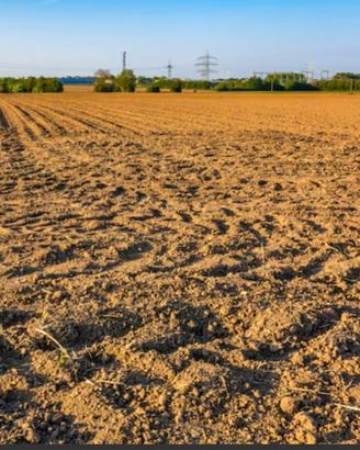 terreno agricolo