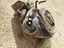 Immagine 4