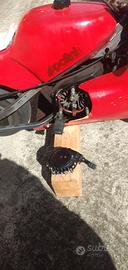 mini moto da pista