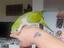 Immagine 2