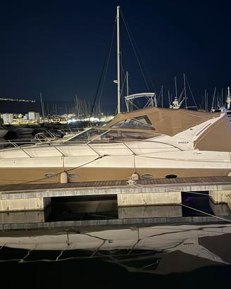 SESSA OYSTER C42