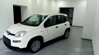 Fiat Panda 1.0 Hybrid 70cv kmzero2024