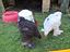 Immagine 4